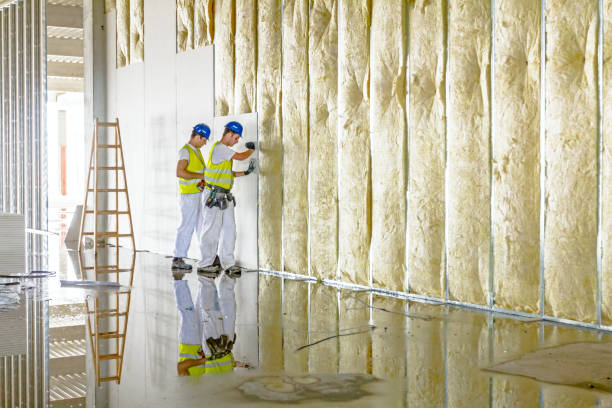 Best Crawl Space Insulation  in Glens Falls, NY